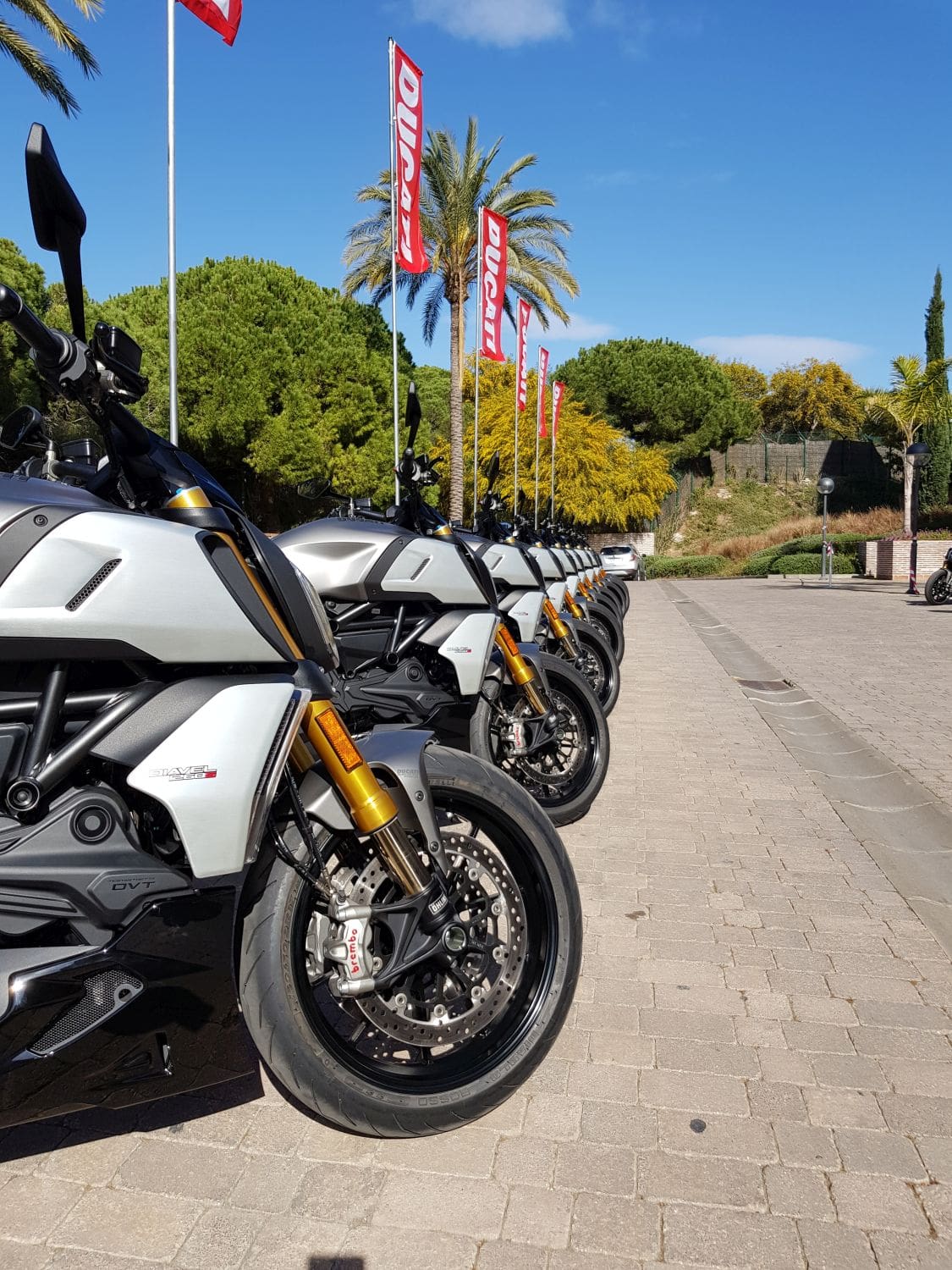 Ducati diavel 1290 deals