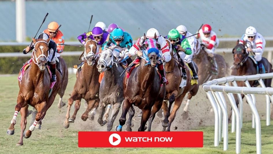 Kentucky Derby 2021: Time, post positions, horses, how to ...