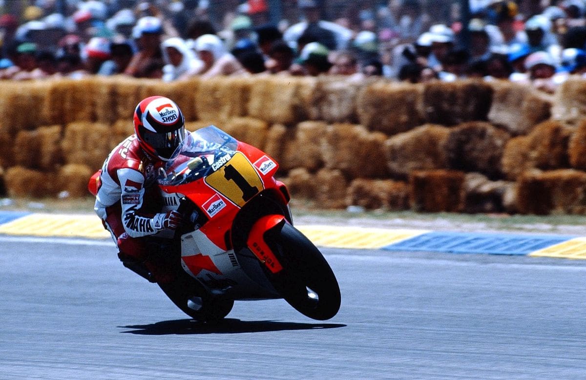 Wayne Rainey