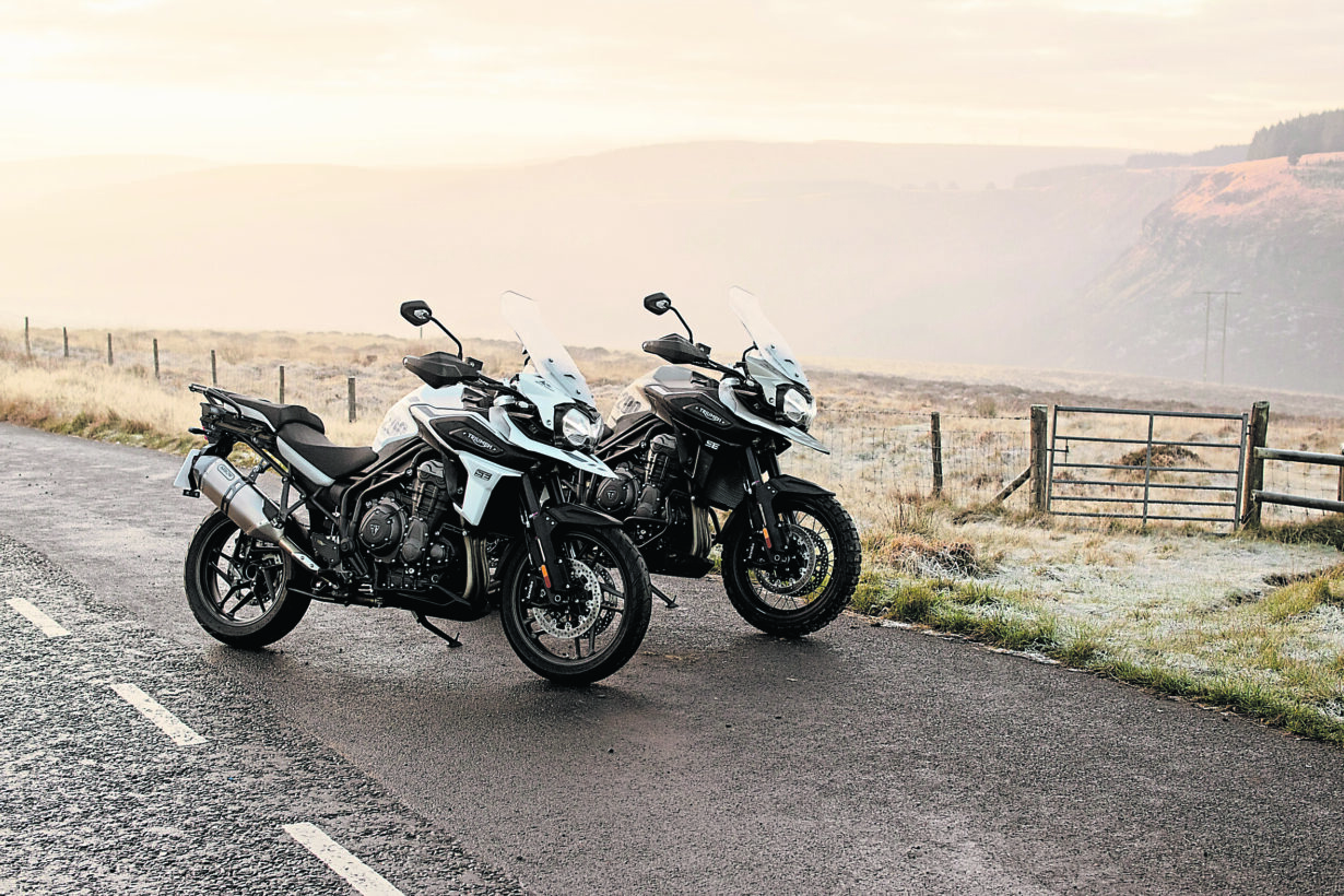Tiger adventure bike store