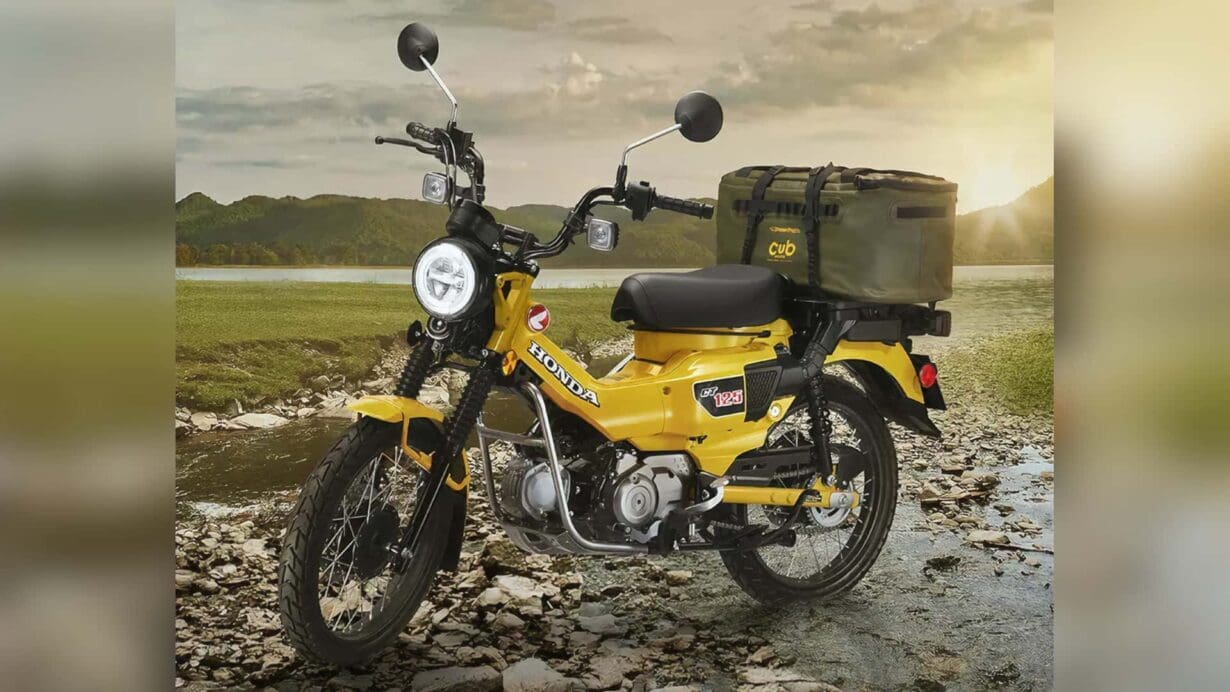 Honda ct125 shop hunter cub